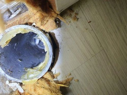 공릉동 하수구막힘 배관 내부 이물질을 확인하고 배수 흐름을 점검하는 과정